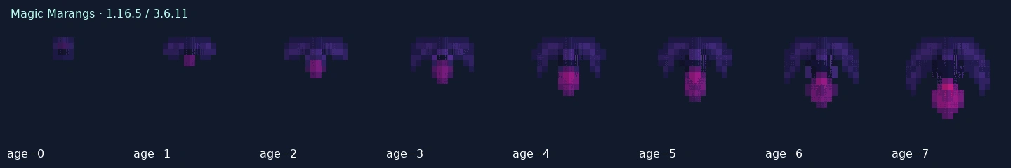 Magic Marangs — 1.16.5 age states