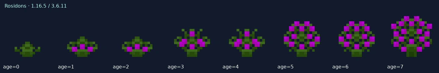 Rosidons — 1.16.5 age states