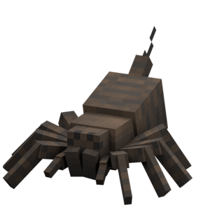 Attercopus