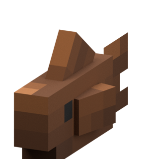 Chocaw