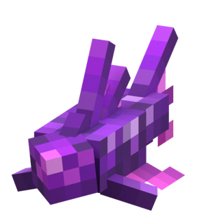 Purple Gemtrap