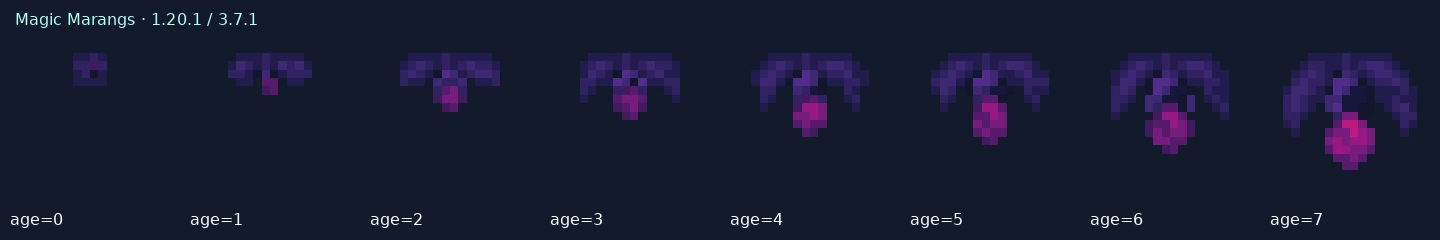 Magic Marangs — 1.20.1 age states