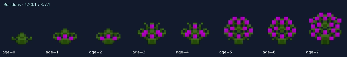 Rosidons — 1.20.1 age states