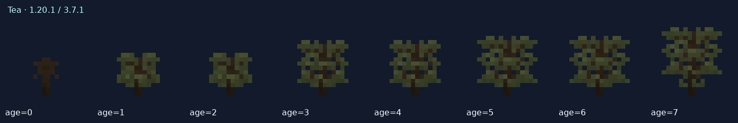 Tea — 1.20.1 age states