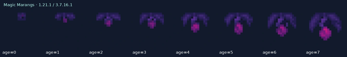 Magic Marang age-model reference