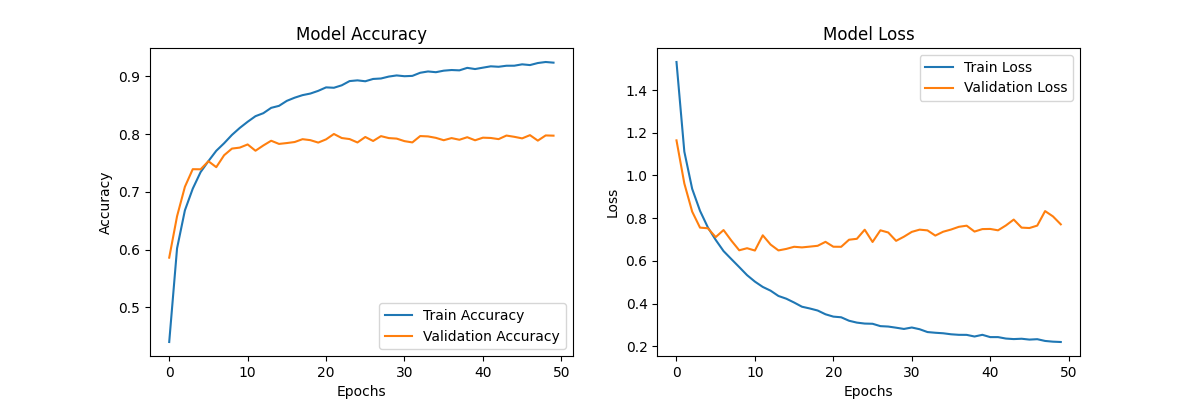 Training History