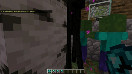 Capture step 2