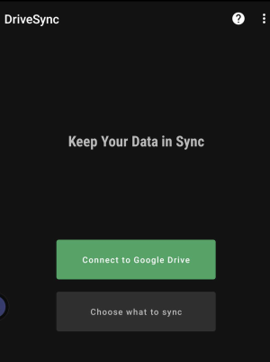 DriveSync 1