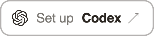 Set up Codex