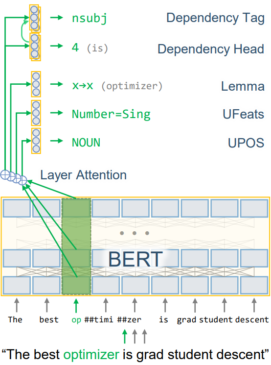 UDify Model Architecture