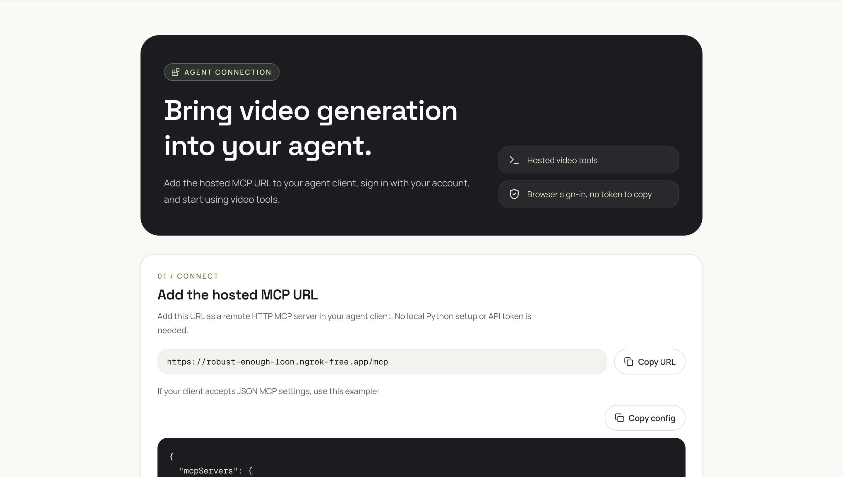Hosted MCP setup page with connection instructions