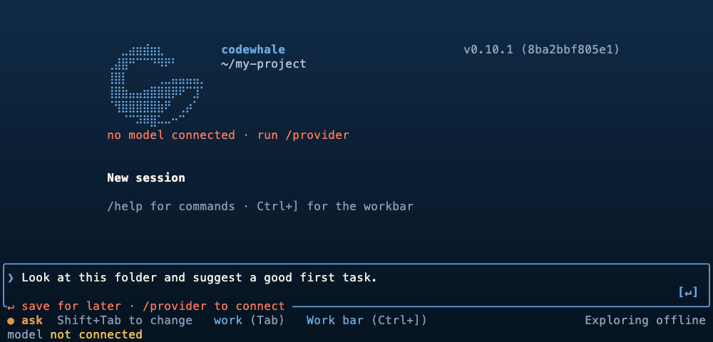A Codewhale terminal session