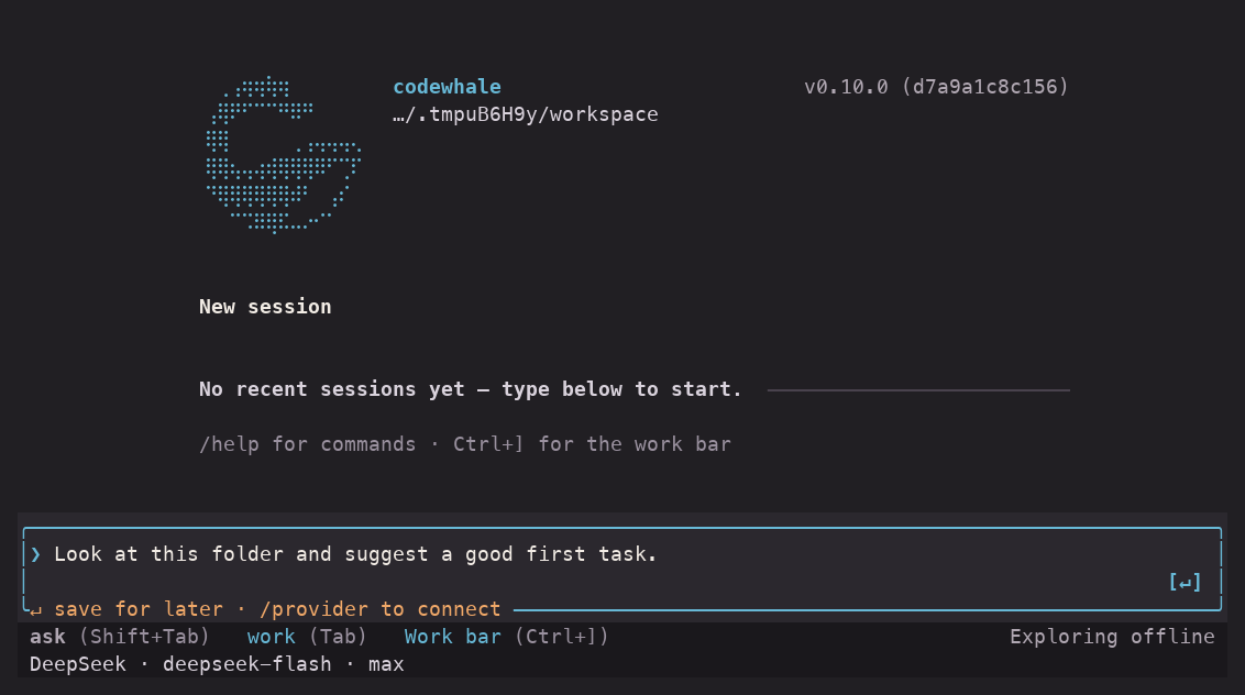 A Codewhale terminal session