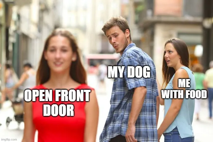 40ygl3