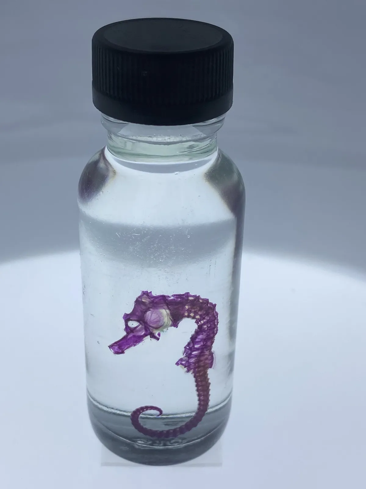 53297712611 2fec4592e5 k