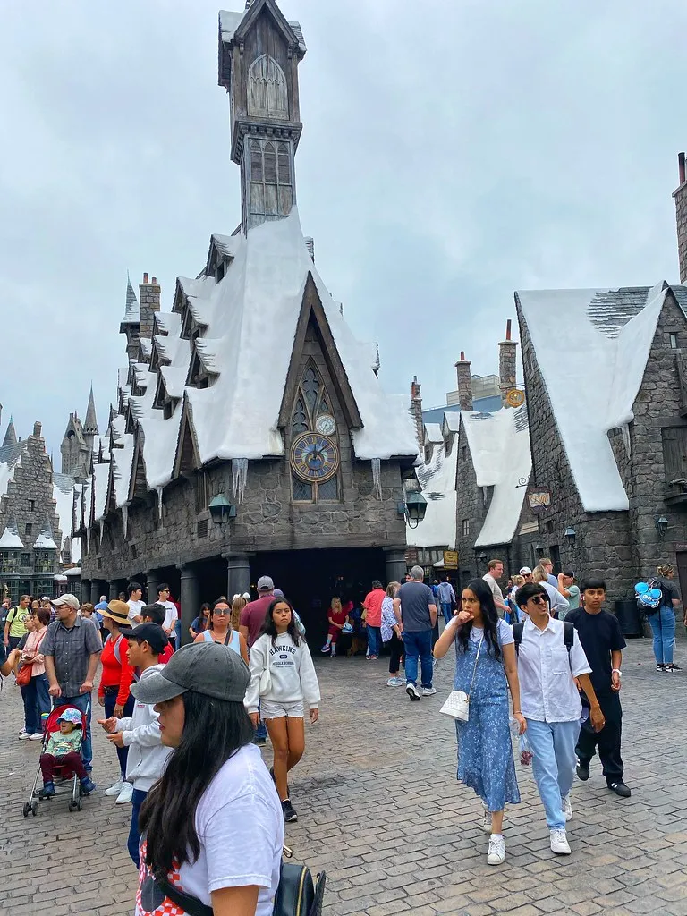 The Wizarding World of Harry Potter
