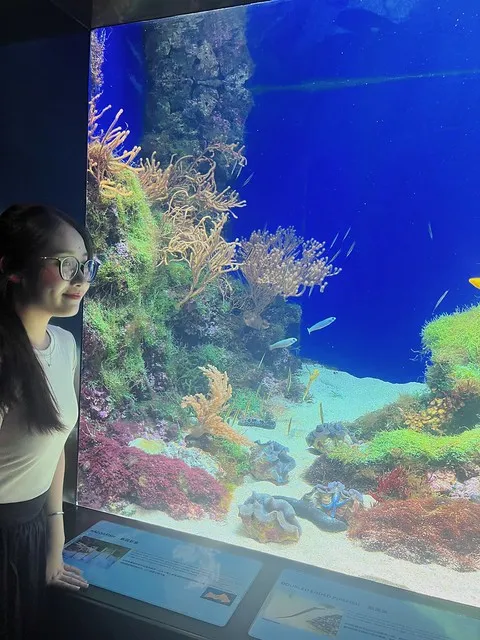 SEA Aquarium