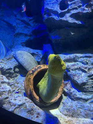 SEA Aquarium