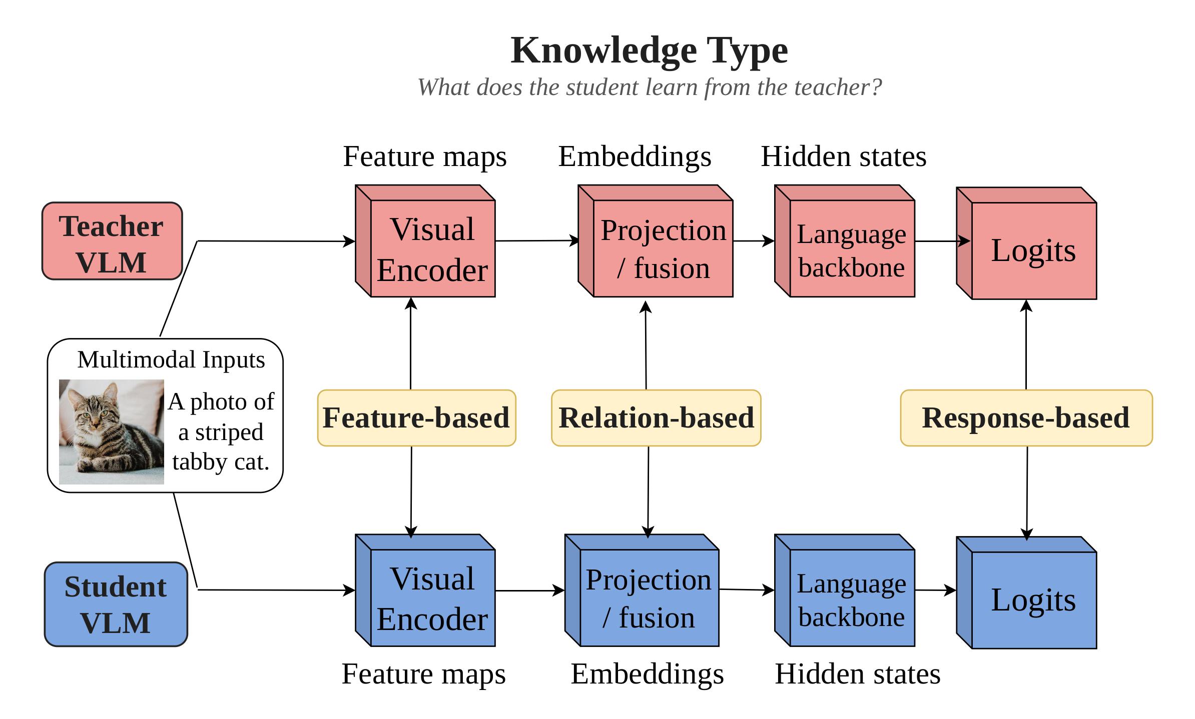 Knowledge Type view of VLM distillation