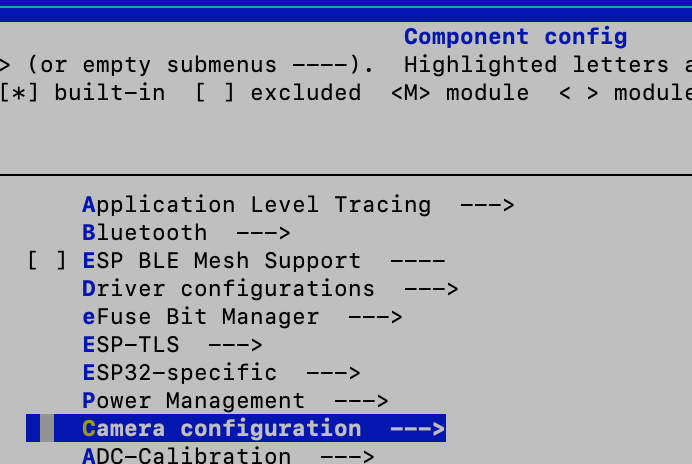 esp32-specific