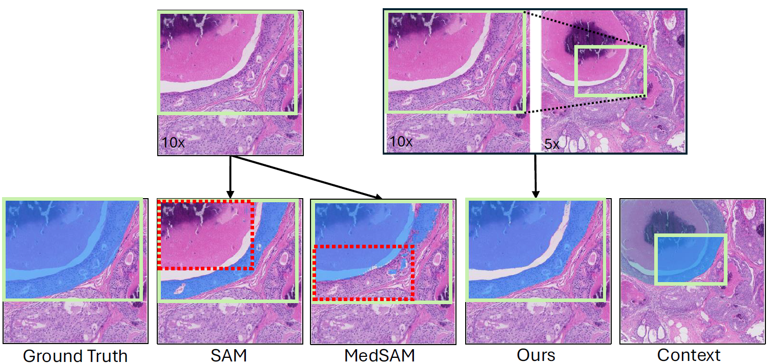 fig1