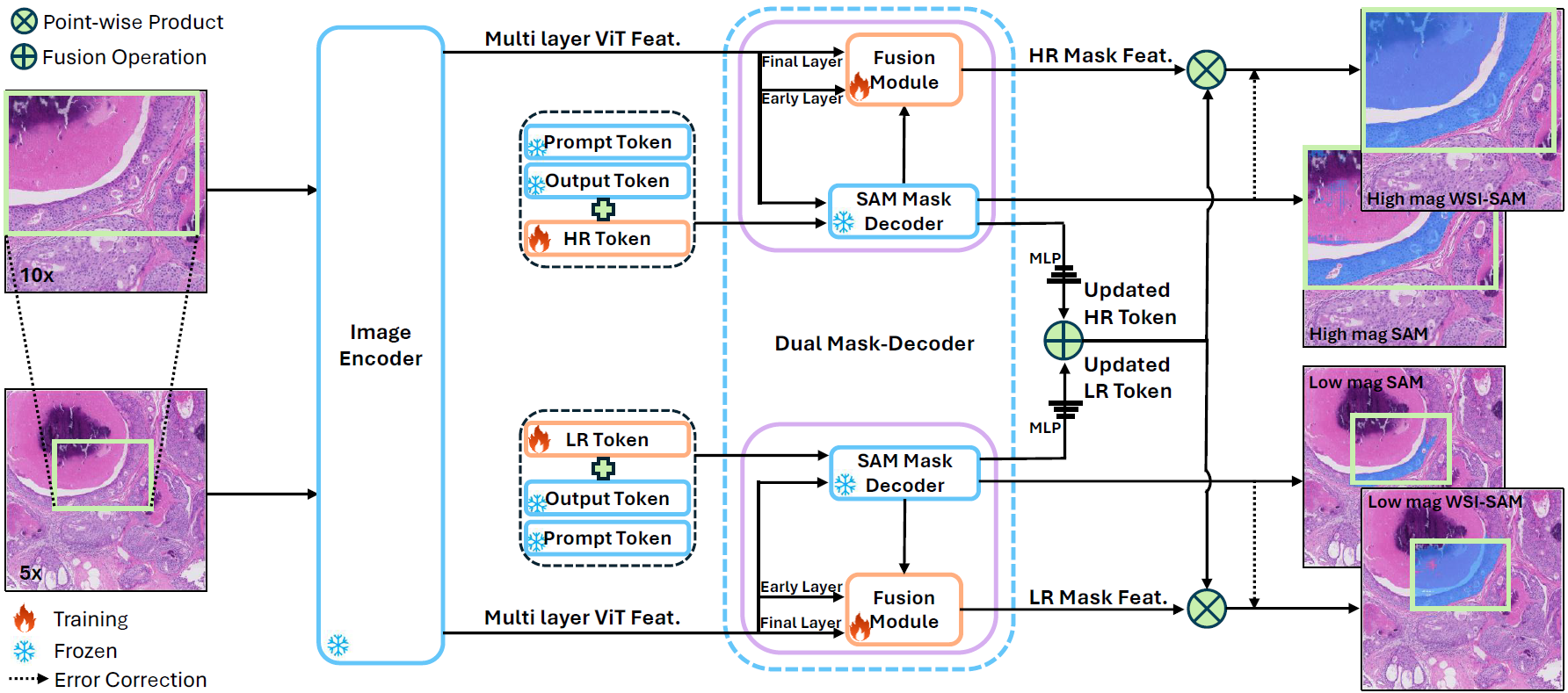 fig2
