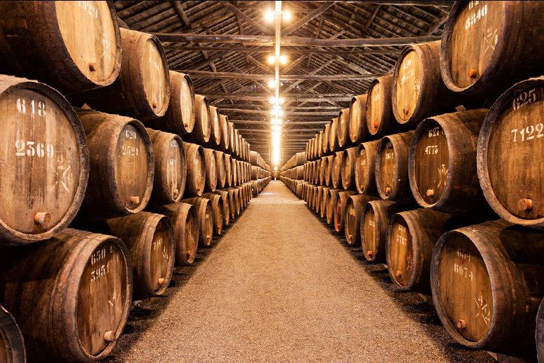 Viñedo y bodega en Vilafamés
