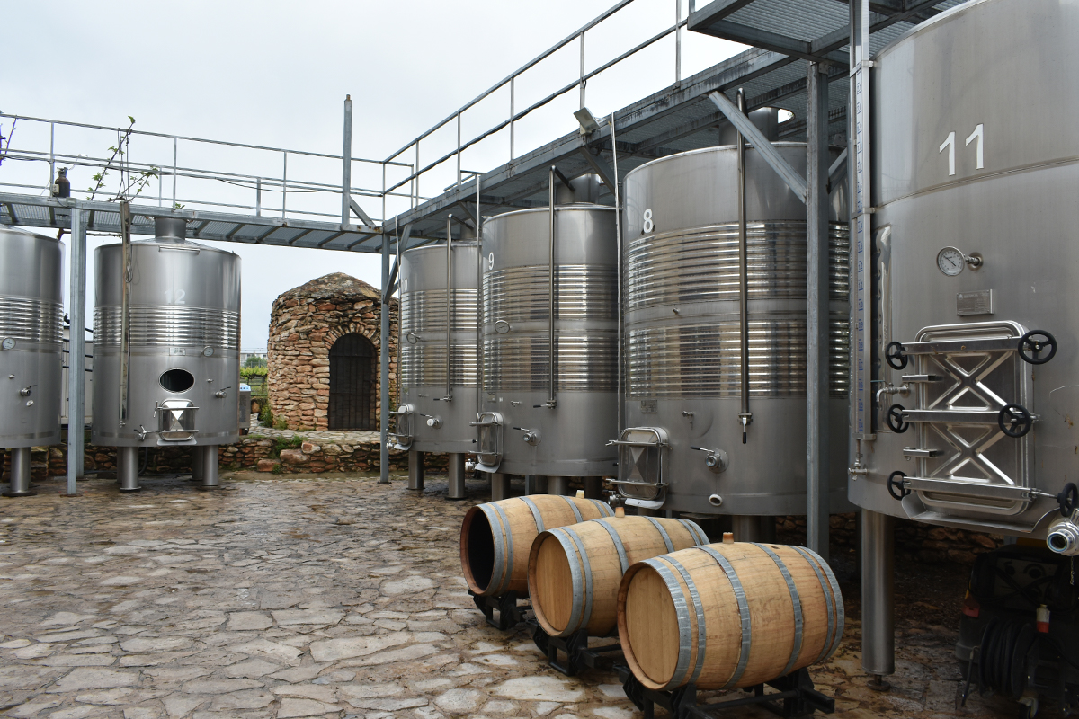Viñedos en Les Useres (Castellón)