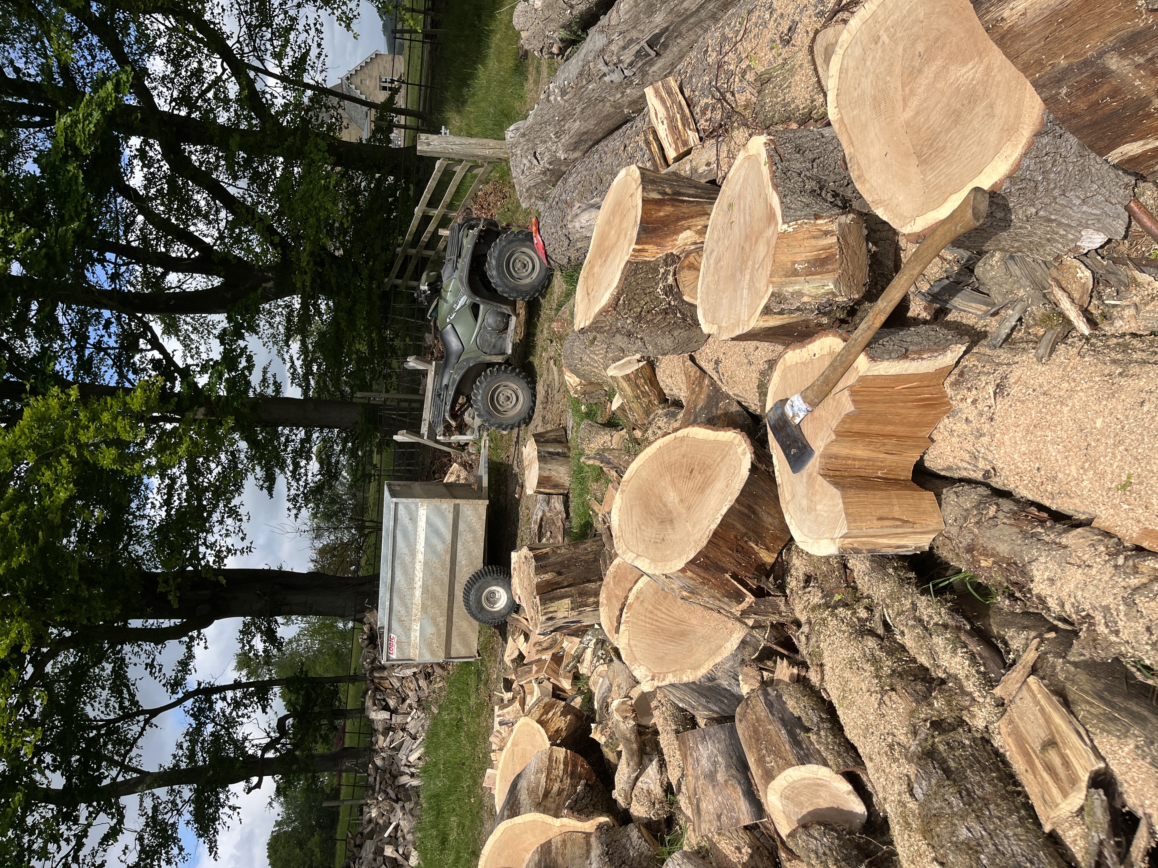 BCB Logging work photo