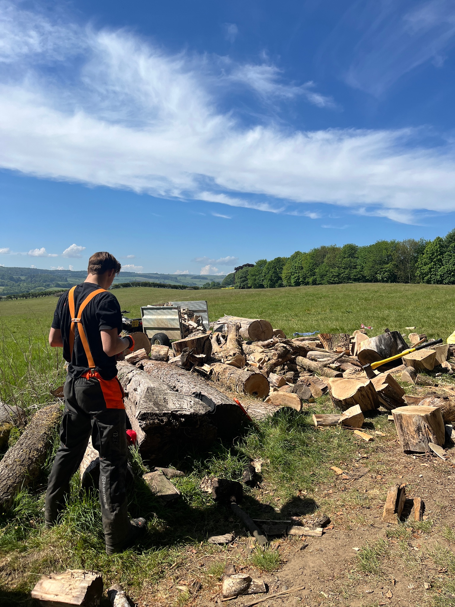 Splitting and stacking a felled log in the field