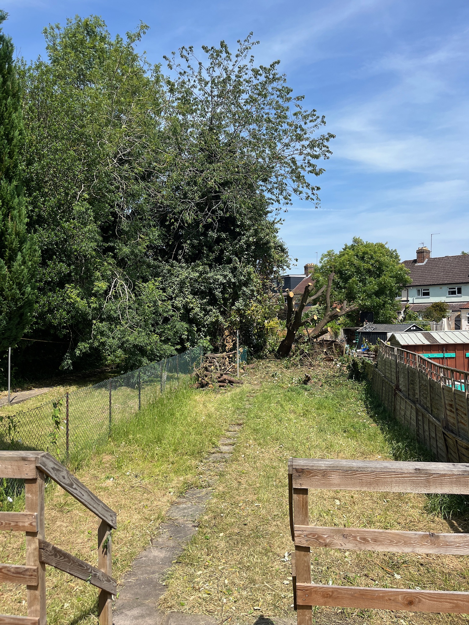 Garden tree clearance and cut-back completed