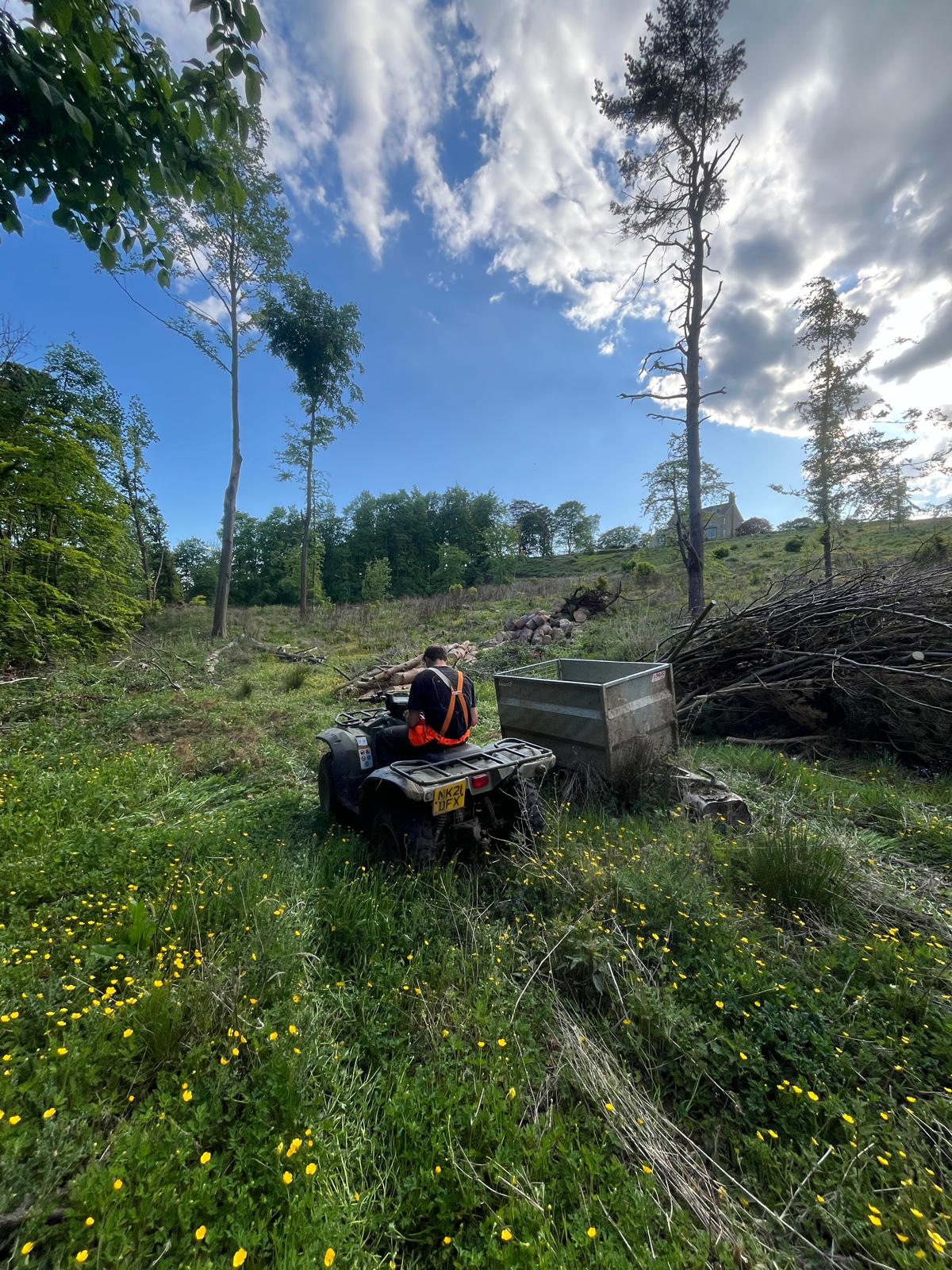 BCB Logging recent job photo 2