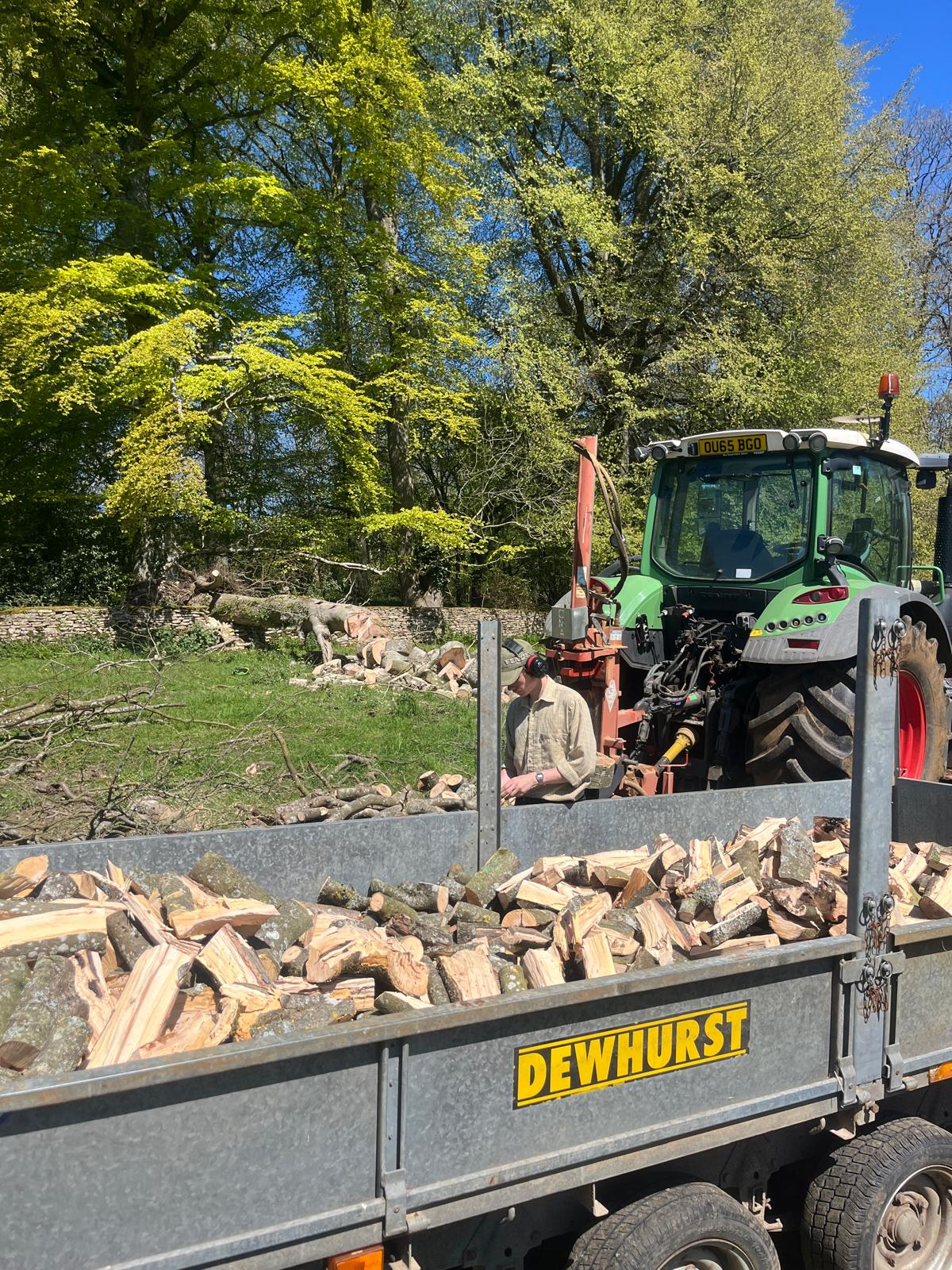 BCB Logging recent job photo 9