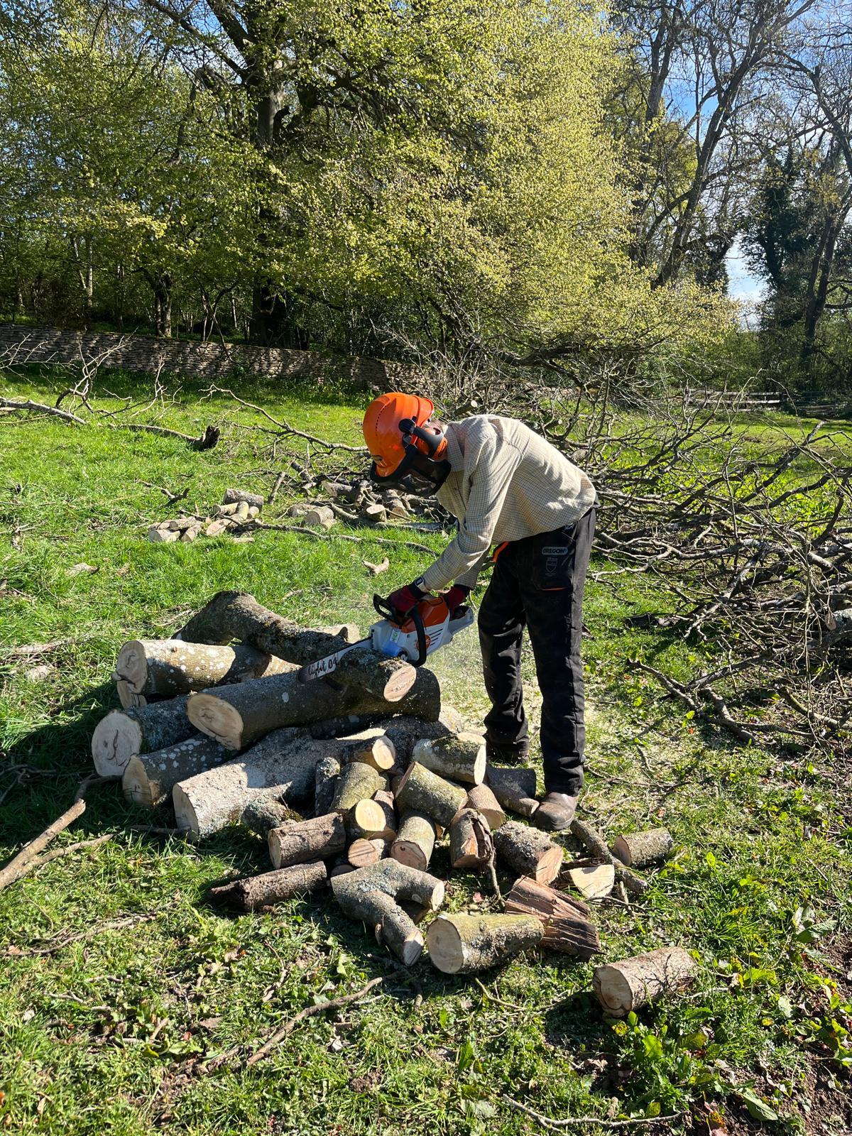 BCB Logging recent job photo 12