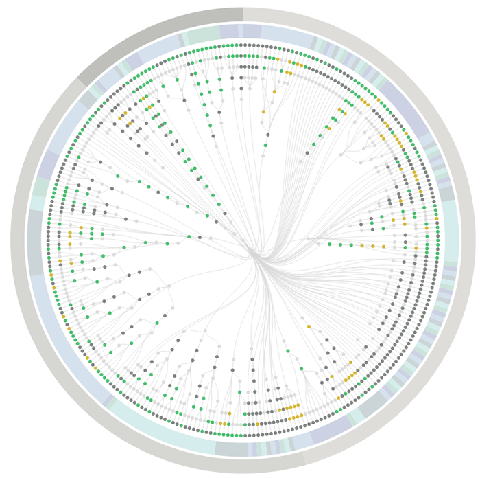 PhantomFlow Report: Test suite overview with radial Dendrogram and pie visualisation