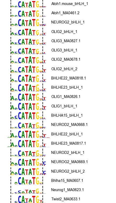 C62:OLIG