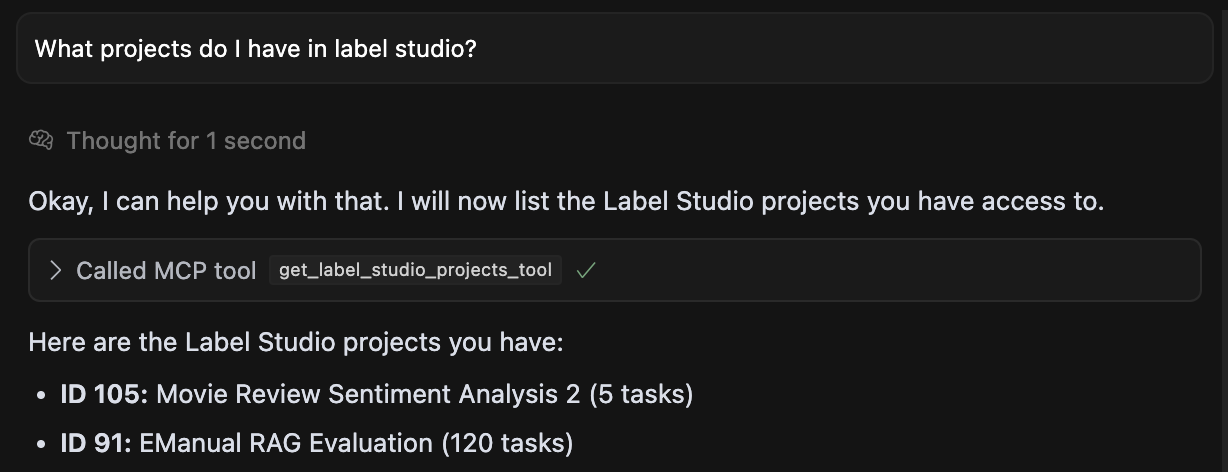 Example usage of Label Studio MCP Server