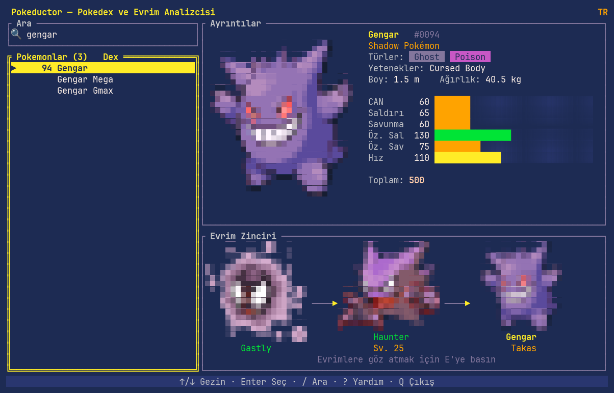 The same Gengar view with the interface in Turkish