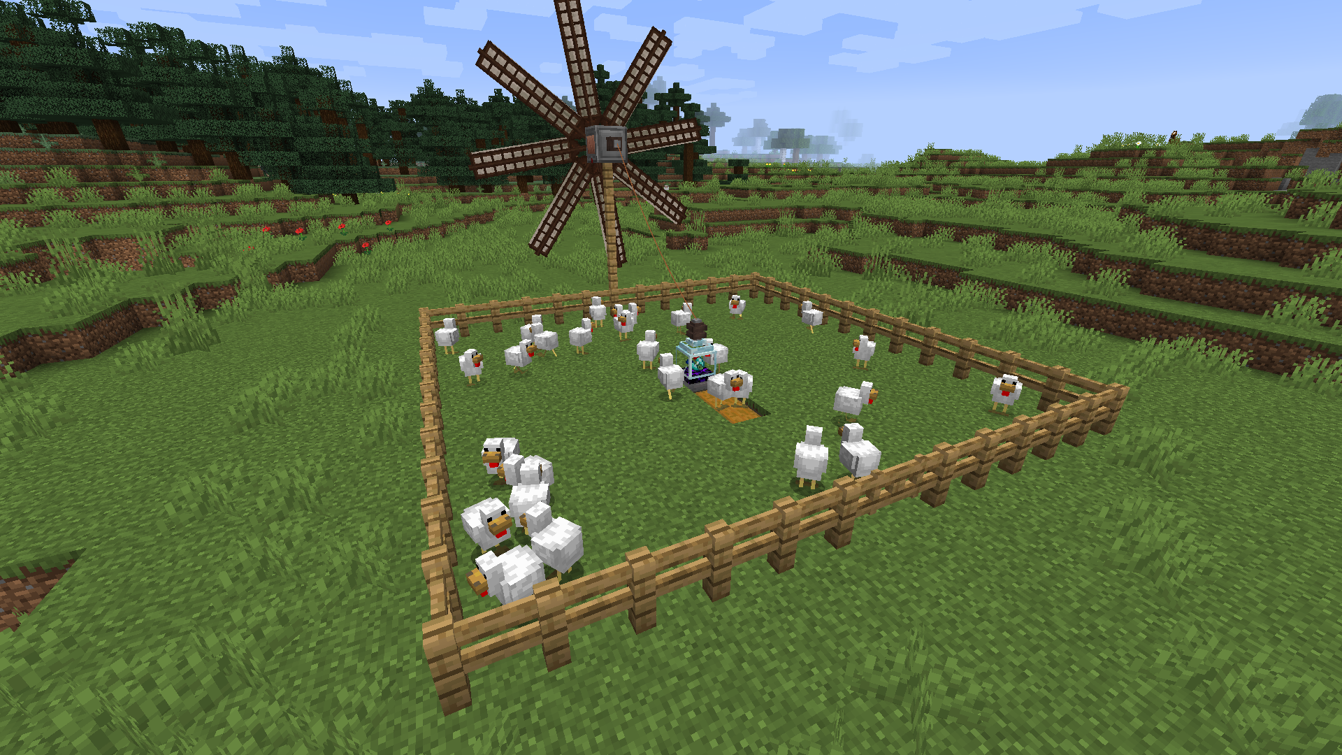 chicken farm