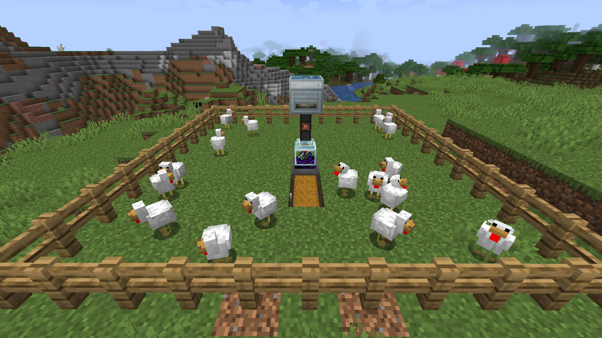 chicken farm