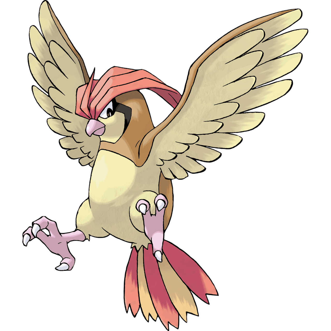 pidgeotto