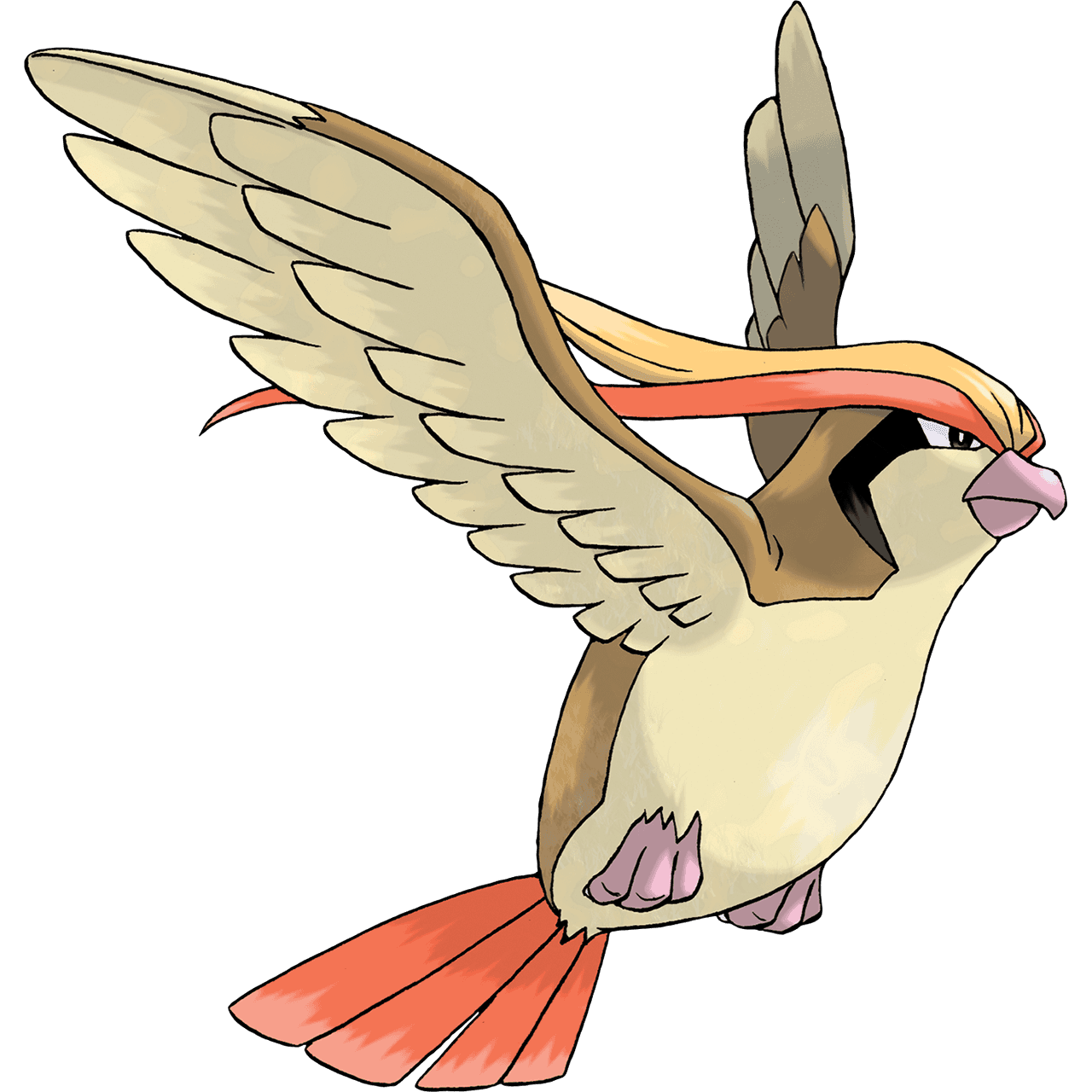 pidgeot