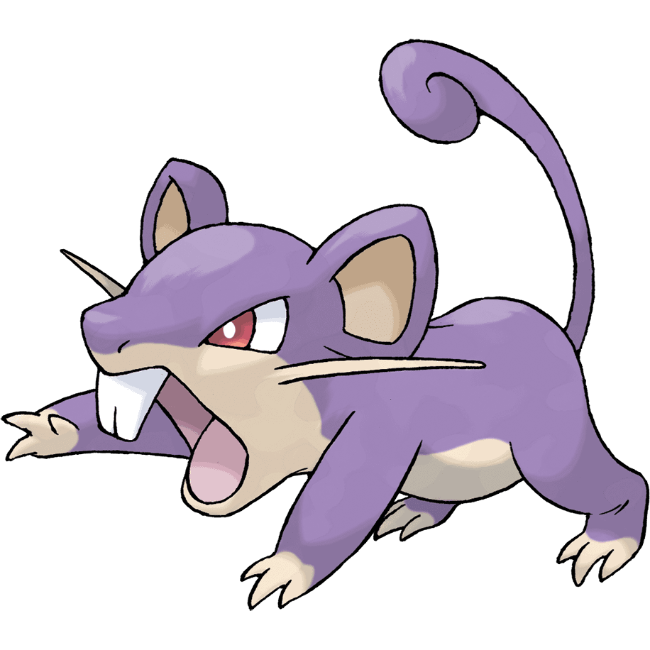 rattata