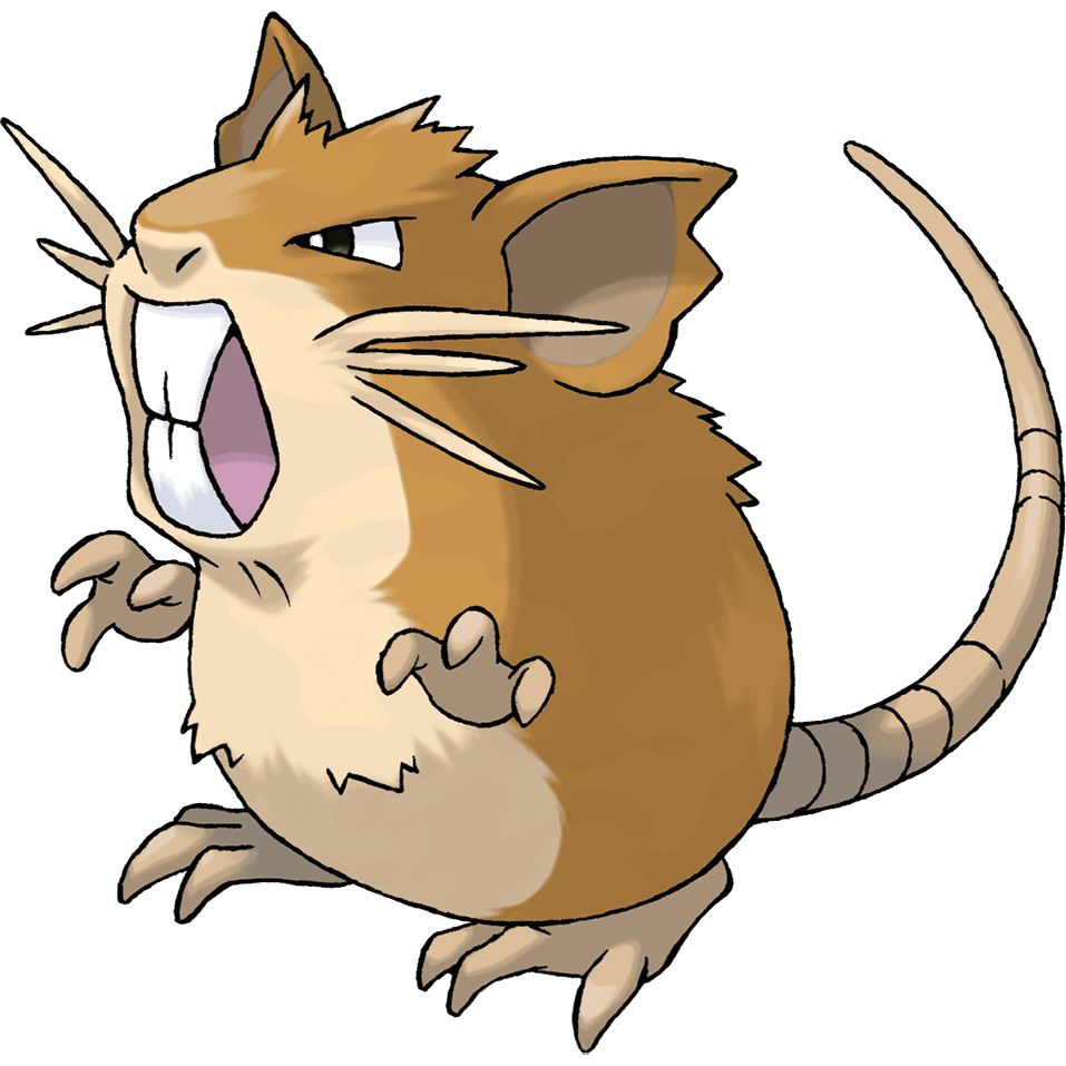 raticate