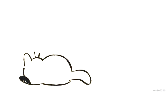 cute lazy cat gif chasing butterfly