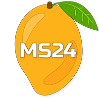 MangoSynth24