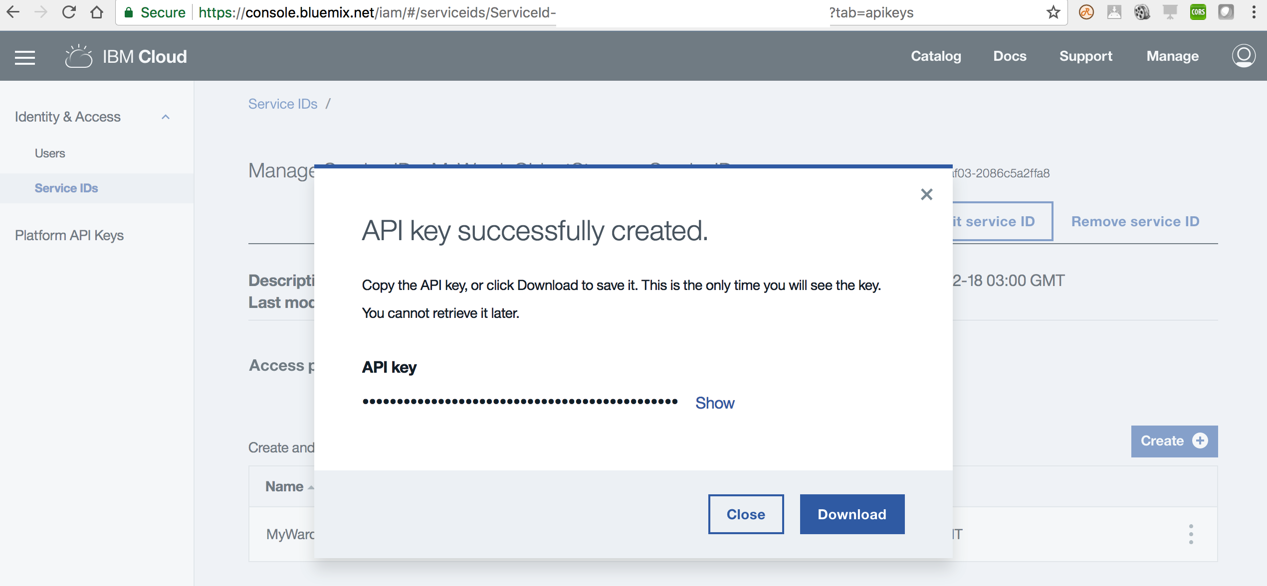 Create API key and download in IBM Cloud Identity and Access Management
