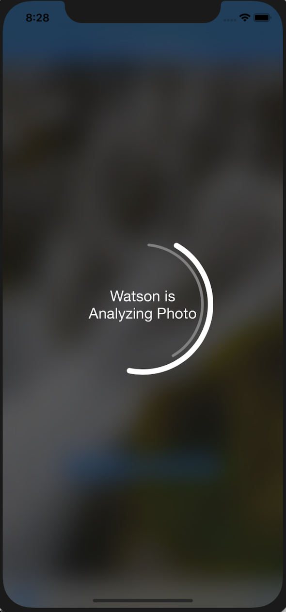 WatsonVisualRecognitionAnalyzing