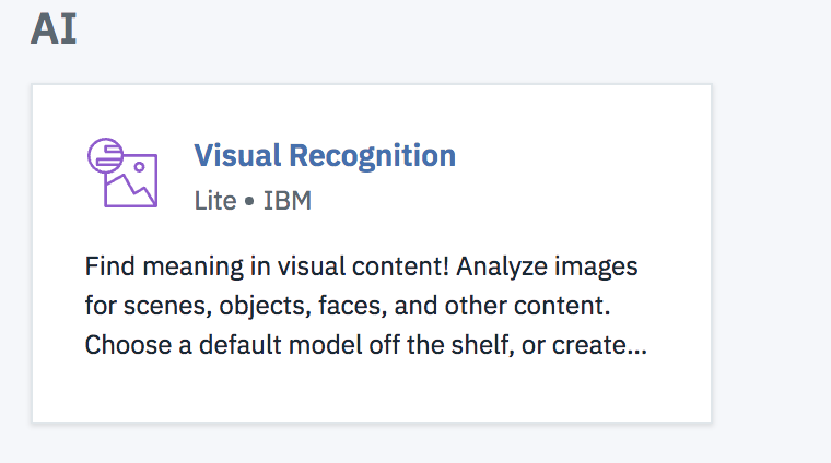 An image showing what the Watson Visual Recognition Service creation tab looks like