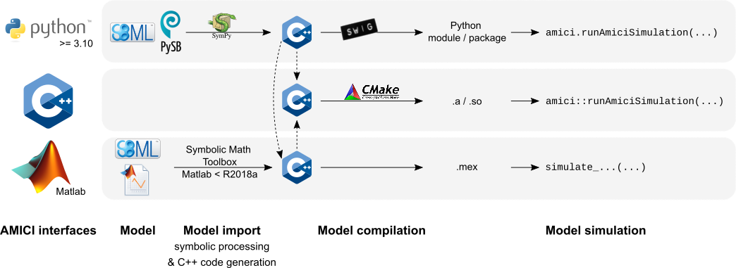 AMICI workflow